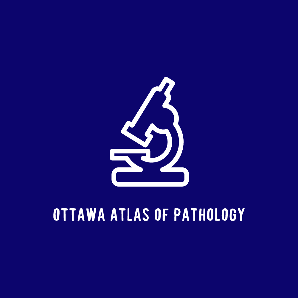 Ottawa Atlas of Pathology logo